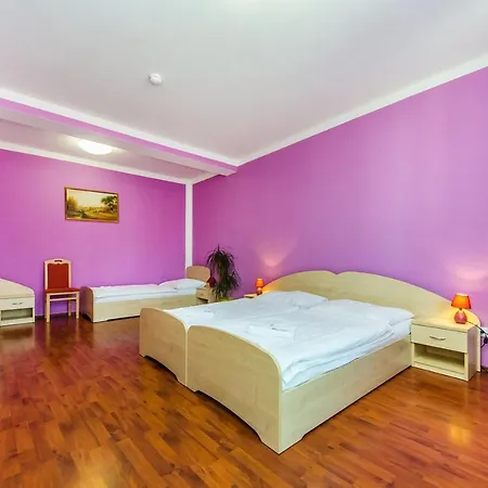 Hotel & Motorest V Udoli Zlateho Potoka 3*